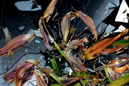 Shattered Glass and Flowers 450x299 Therapists and Depressed Men 