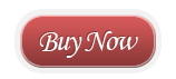 Buy Now - Circle Badge Red