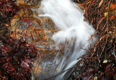 Water-Flowing-Downhill