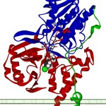 Taking Emsam: A Different Kind of Antidepressant