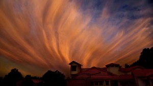 Forest fire lighting sky