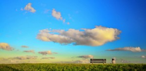 Infinity in a sunny landscape