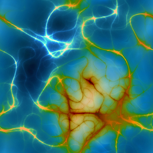 Neuron Pattern